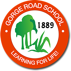 Gorge Road School